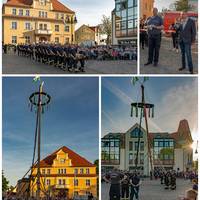 Maibaum-Stellen